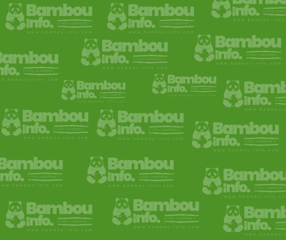Après l’enlèvement de Nicolas Maduro, les dirigeants d’Amérique latine partagés entre dénonciation d’une « agression » et célébration d’une « nouvelle ère de liberté »