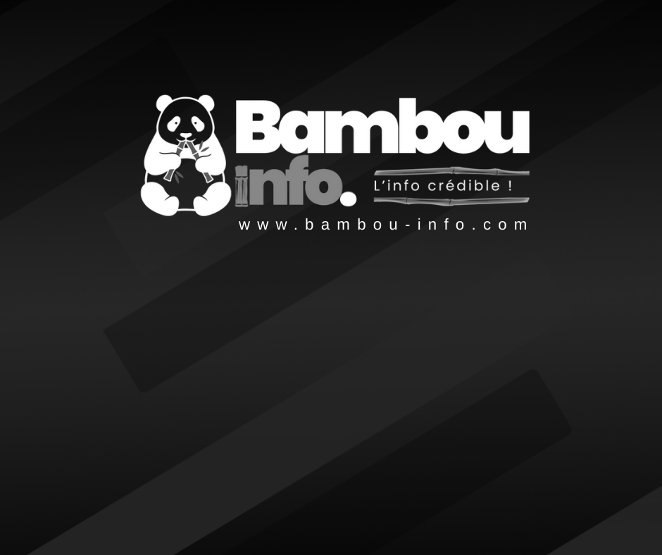 Haiti-Politique : lancement officiel du mouvement social et politique « Ayiti Chanje » à Paris