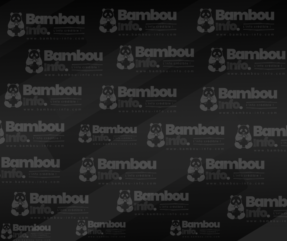 Alix Didier Fils-Aimé visite à nouveau le CEP pour réaffirmer son engagement envers le processus électoral