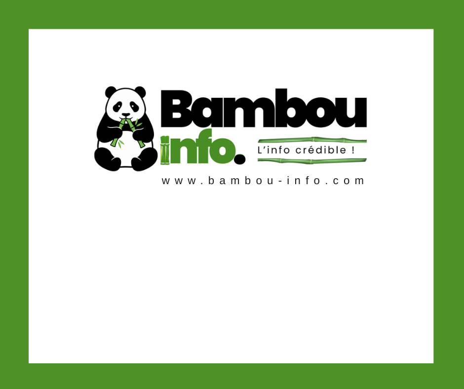 7 février 2026 : fin de transition ou prolongation de l’impasse politique en Haïti ?