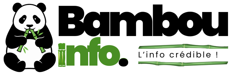 Bambou Info  