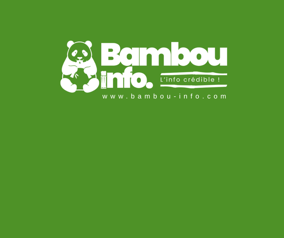 À Paris, lancement du mouvement AYITI CHANJE : Une initiative citoyenne pour refonder Haïti