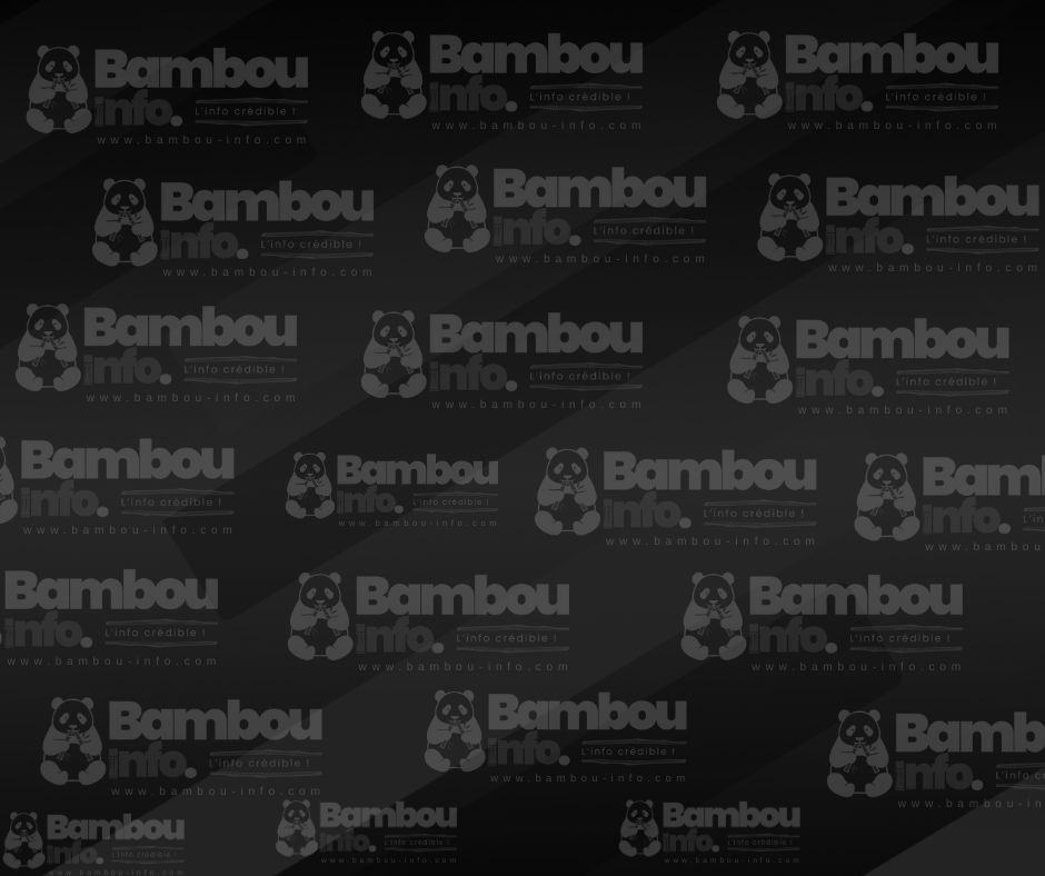 Collège de Côte-Plage : « Recueil aux mille visages » Une parole juvénile debout face au chaos