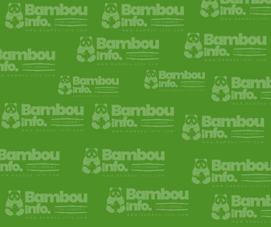 Ville-Digue : Une vision audacieuse pour transformer la frontière haïtiano-dominicaine