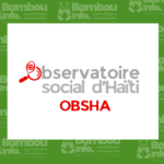 Moins d’intelligence artificielle, plus d’anthropologues : le nouveau mantra des entreprises ?