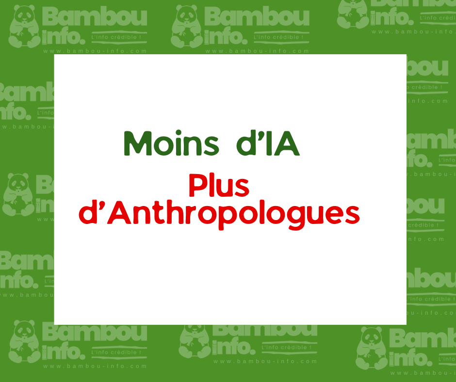 Moins d’intelligence artificielle, plus d’anthropologues : le nouveau mantra des entreprises ?